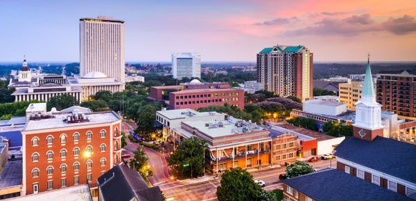 What Business Should I Start in Tallahassee, Florida?