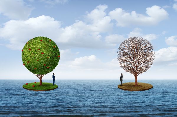 Scarcity and Abundance in Business