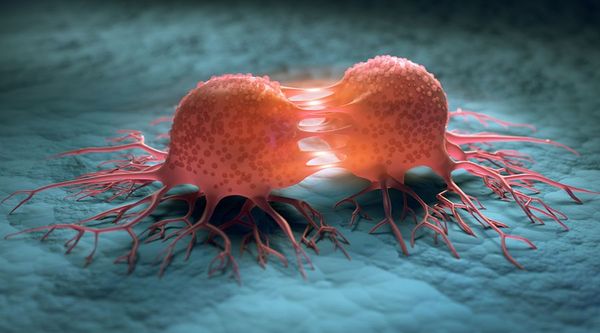 Killing the Cancer of Toxic Behavior