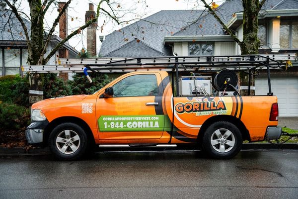 South Florida Just Added a Gorilla-Sized Leadership Team