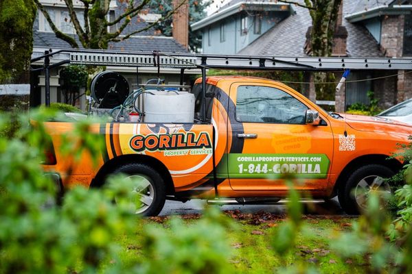 Homeowners Report a Gorilla Sighting in Atlanta