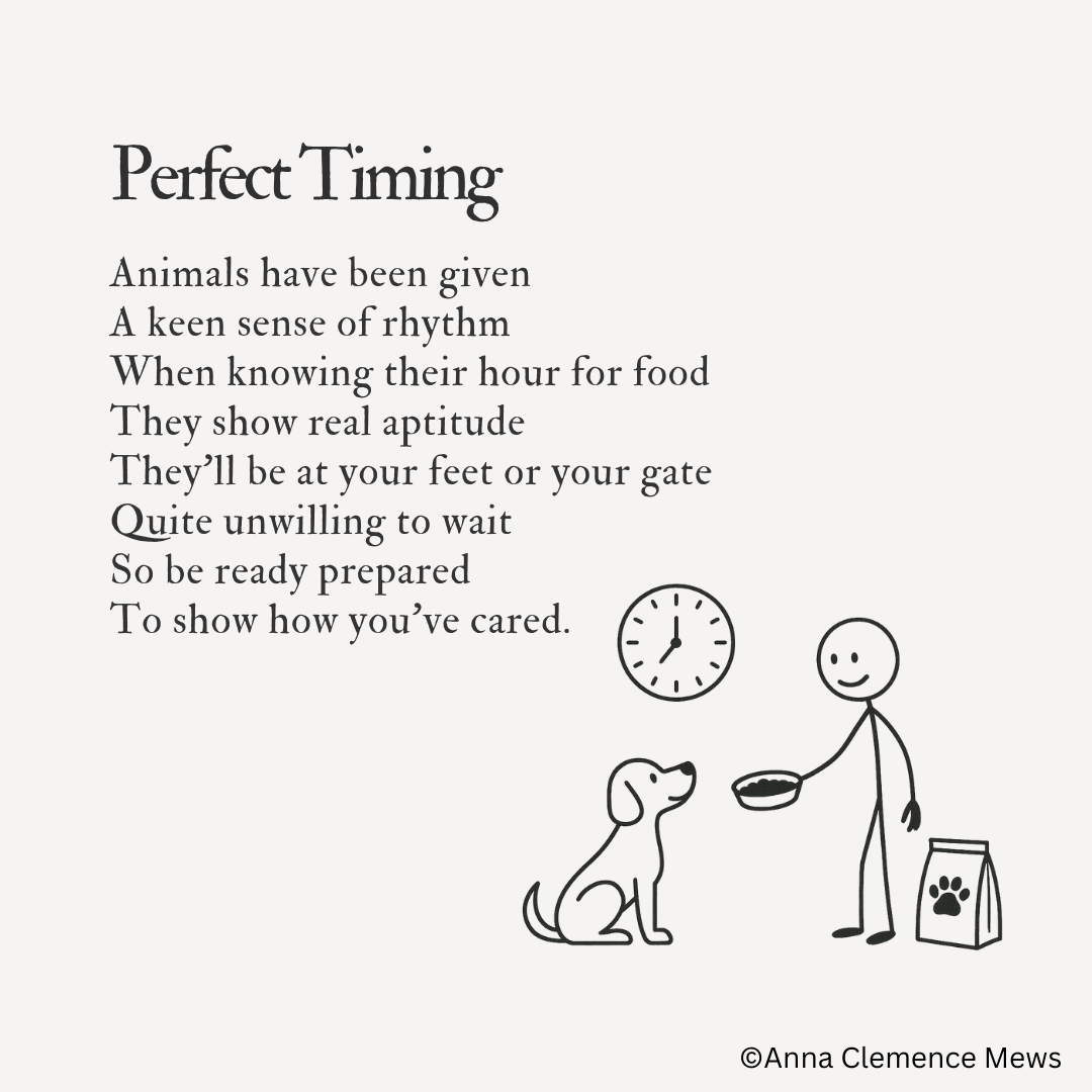 47 / Perfect timing