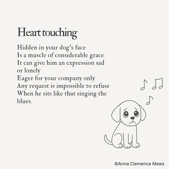 #15 - 🐶 Your Dog's Secret Superpower: Why You Can't Say No to Those Puppy Eyes