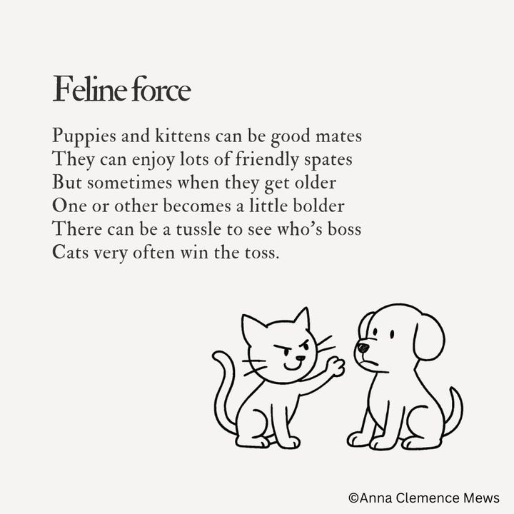 #7 - Paws, Claws and Who's the Boss?