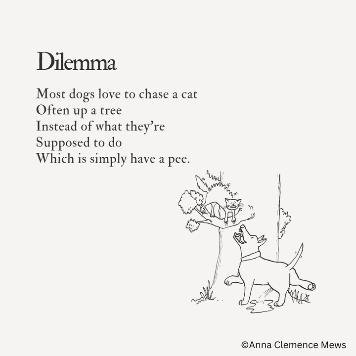 #16 - When Dogs Can't Resist the Chase