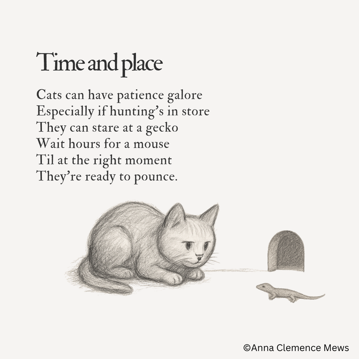 #17 - If Patience Is A Virtue Your Cat Must Be A Paragon!