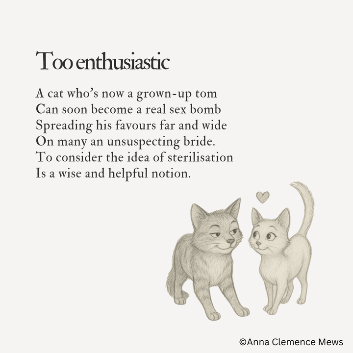 #19 - The Kindest Cut: Why Your Feline Friend Should Be Neutered