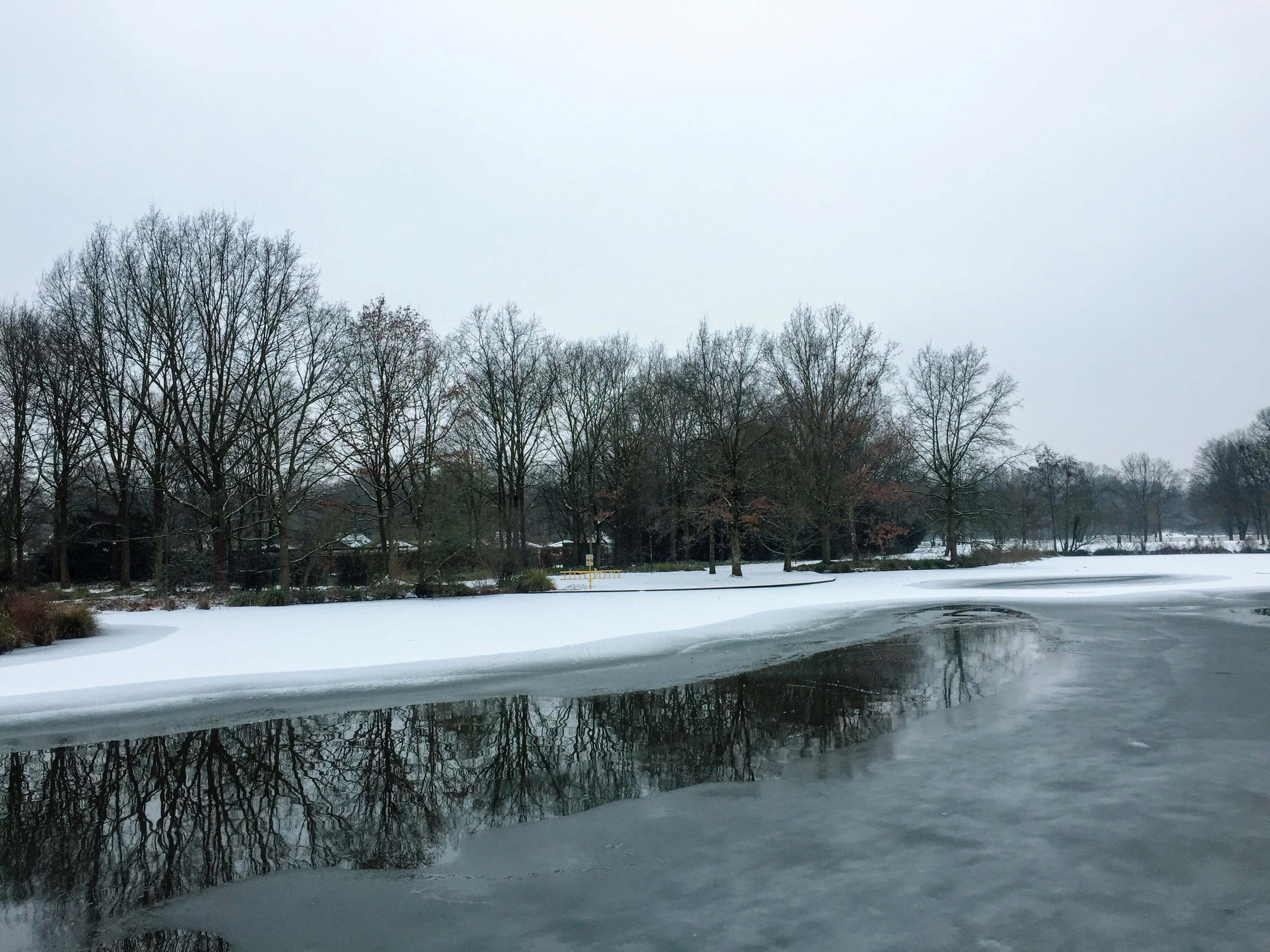 clima en enero en alemania