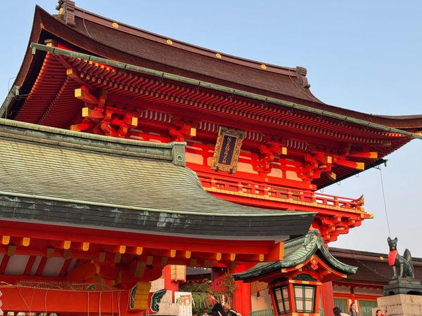 2025 端午日本九日游