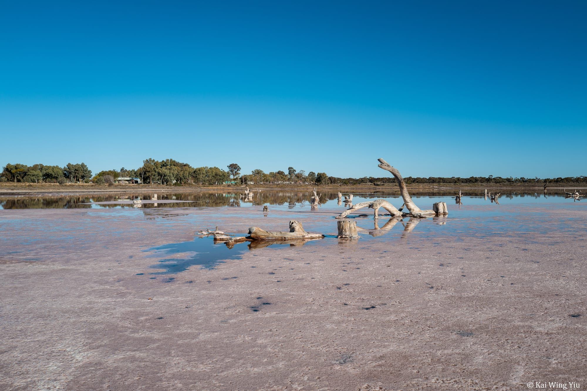 澳洲內陸行散記之六
