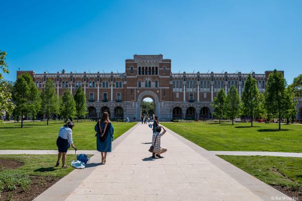 新奧爾良印象和萊斯大學