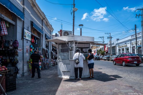 墨西哥的一鱗半爪