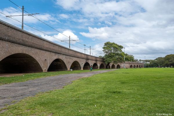 與割草機的盛夏苦戰