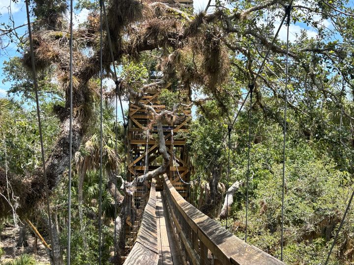 Gators, Trails & Gator Bites: Our Wild Day Trip to Myakka