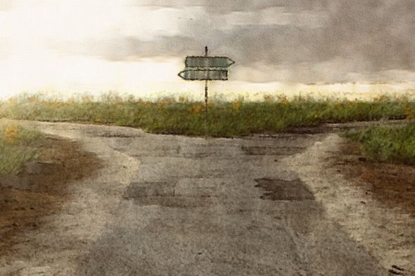 leading at the crossroads of collapse and conscience