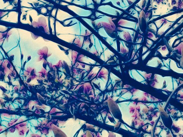 seasons don't turn for kings