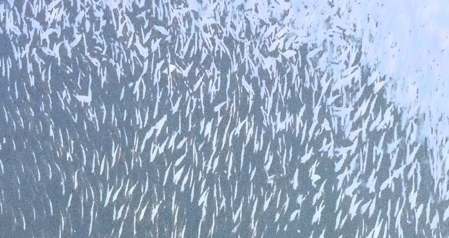 Herring Scrap 27: Deriving a Threshold from Unfished Biomass