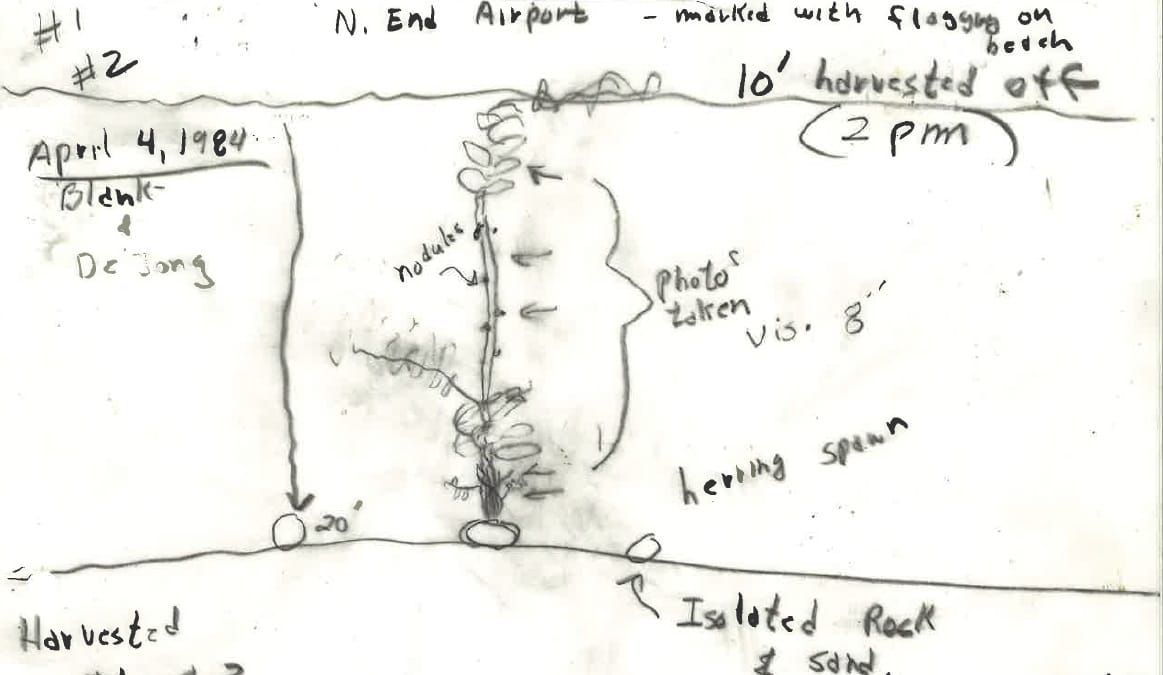Herring Scrap 33: Pen Pals Pt. 1 (An Alaska Public Records Act Request)