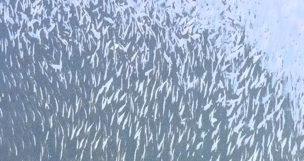 Herring Scrap 27: Deriving a Threshold from Unfished Biomass