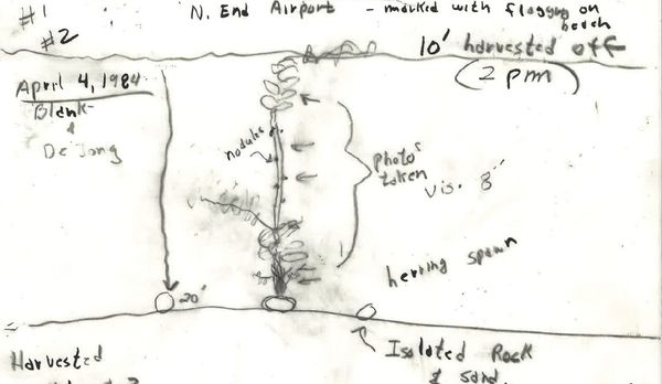 Herring Scrap 33: Pen Pals Pt. 1 (An Alaska Public Records Act Request)