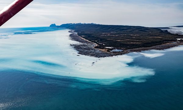 Herring Scrap 36 - On Expanding Commercial Fishing Access to  Prince William Sound & Kayak Island