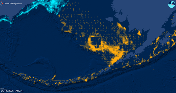 Herring Scrap 45: Mapping the Bering Sea Trawl Footprint