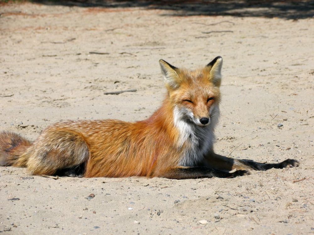 How to create your own Firefox installation profile