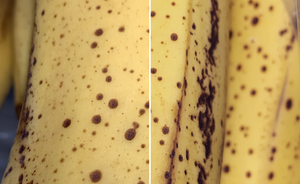 How to compare multiple photos together on iOS