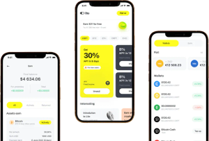 The best platform for online earnings