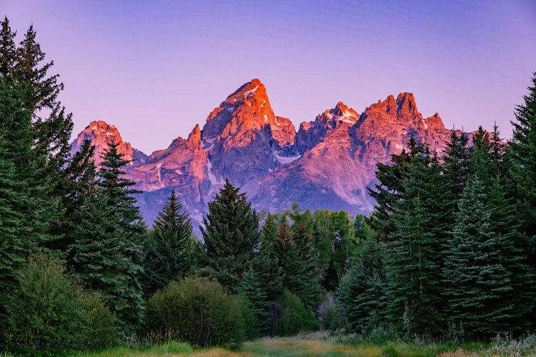 Wild Wyoming, Part 2: Grand Teton National Park