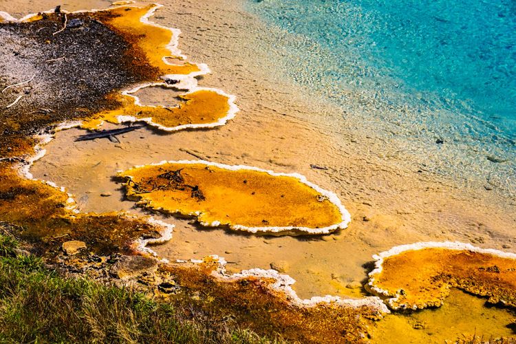 Wild Wyoming, Part 3: Yellowstone National Park