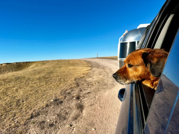 On the road again: wrapping up round 1 & kicking off round 2 of RV travels