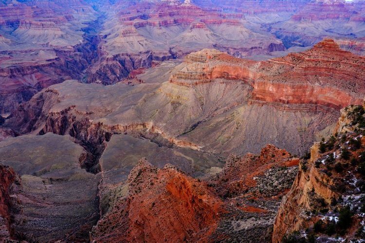 Saguaros, Snow, and Sin City: Adventures in Arizona and Nevada