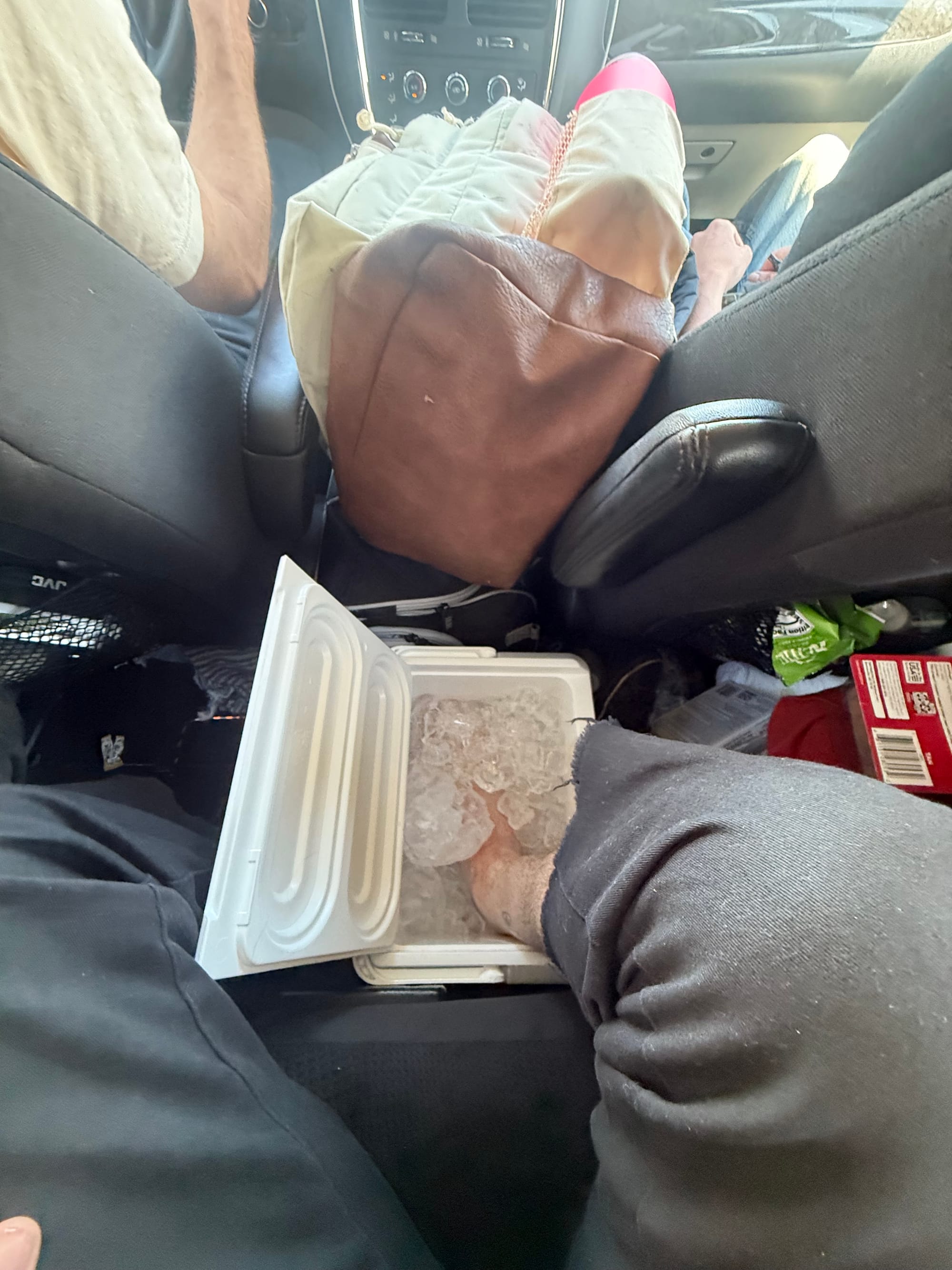 Dakota from Beer’s foot in a cooler of ice