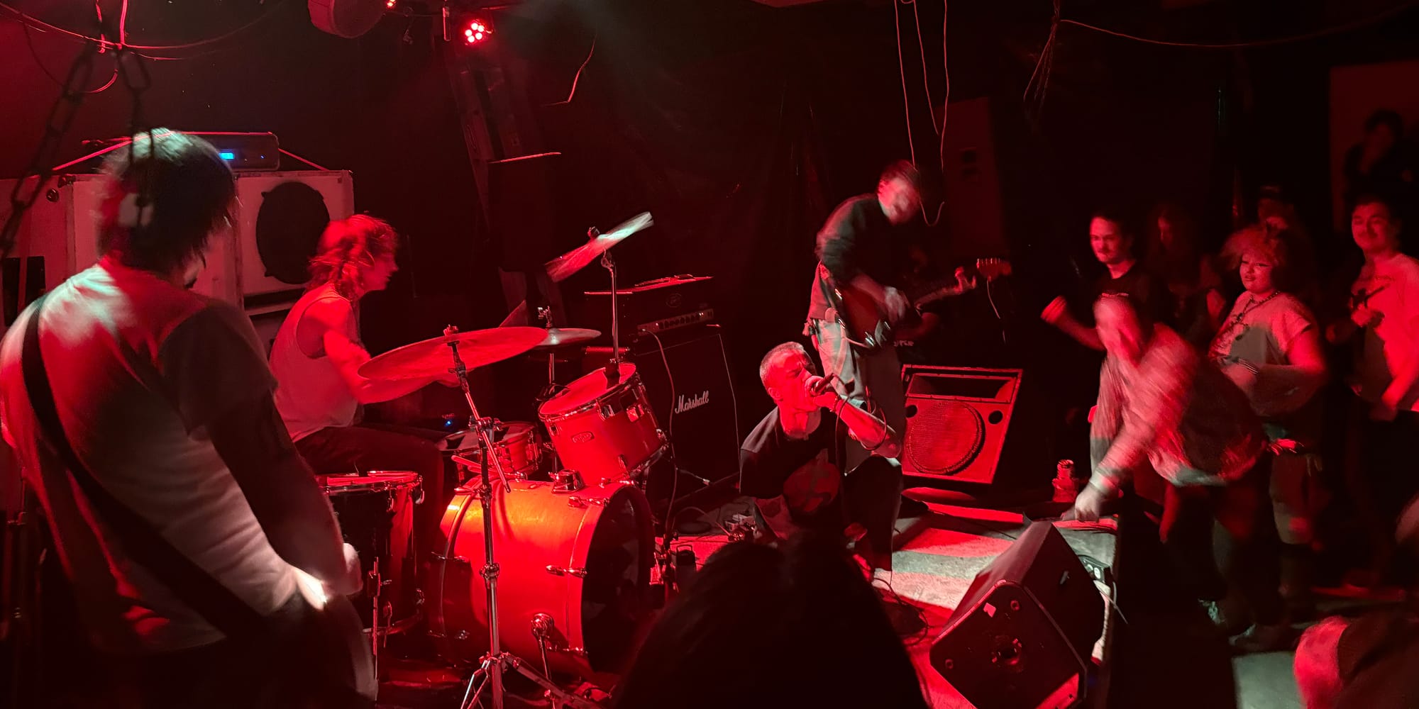 Cicada performs live