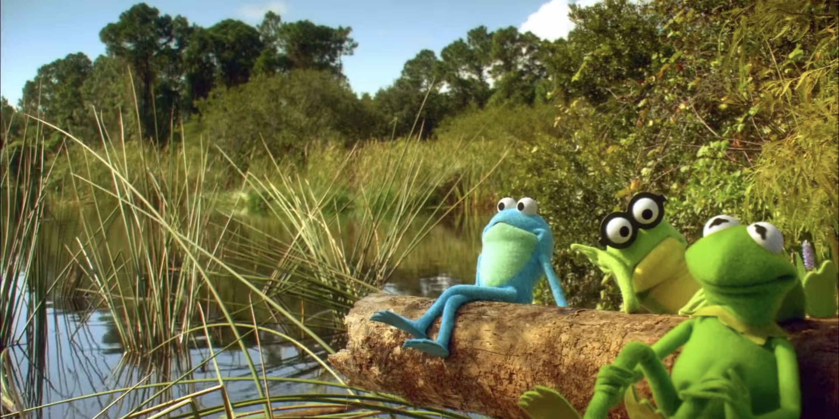 young kermit and the boys kick back in the swamp