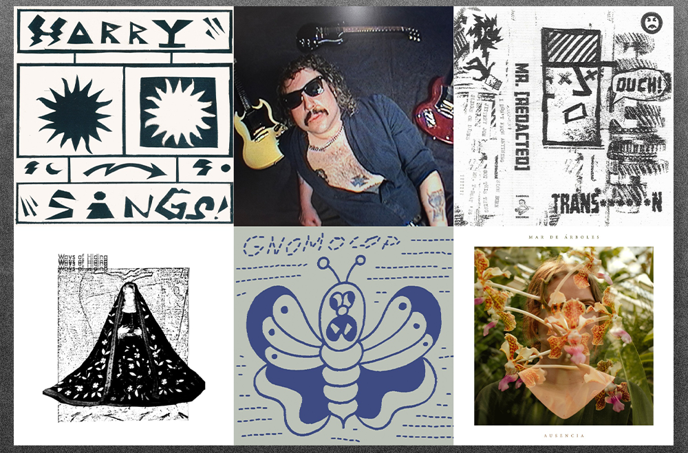 punk this week podcast 46: mr. [redacted] + gnomocop