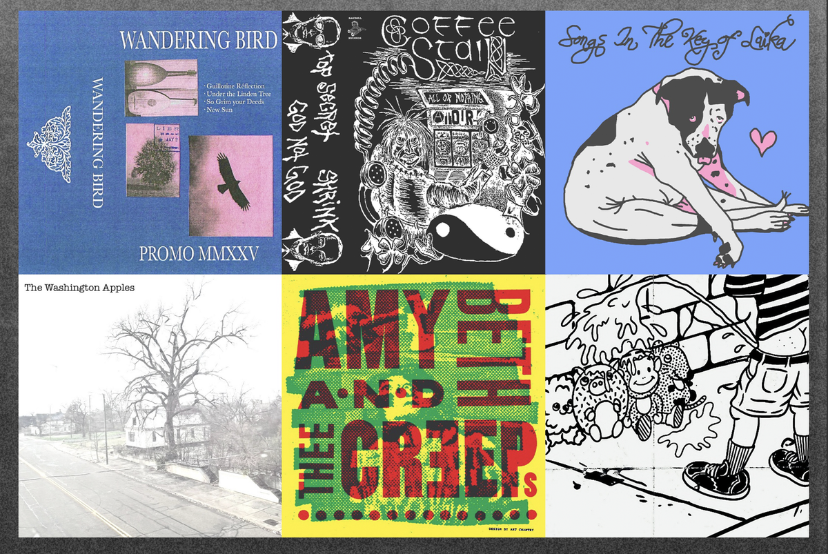 punk this week podcast 63: wandering bird + coffee stain