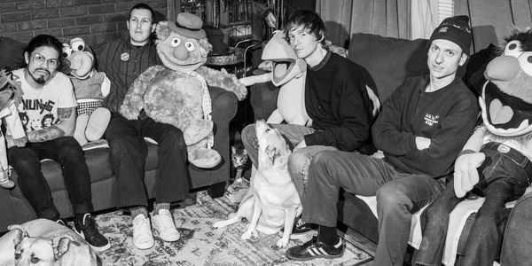 Yambag with Muppets and dogs