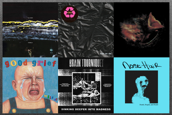 punk this week podcast: gilla band + crv