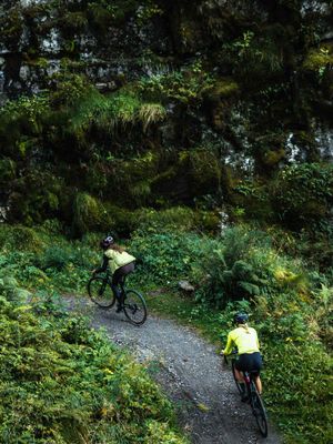 (ﾉ> ◇ <)ﾉ♪ Nº273 Don't be dumb; brand to the tune of your own drum 🥁🤨