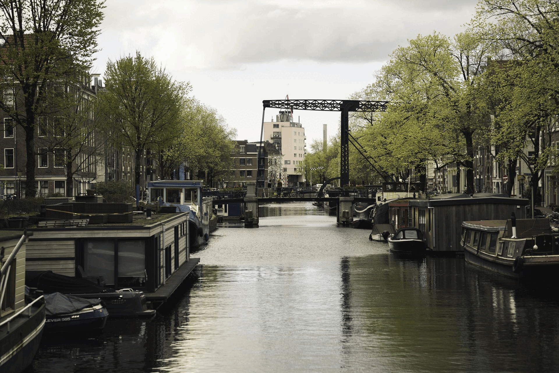 ૮ ˙Ⱉ˙ ა Nº294 – 10 4, Dinosaur 🦖📢