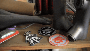 ( • ᴗ - ) ✧ Nº358 The Allure of Rouleur ✨🚲