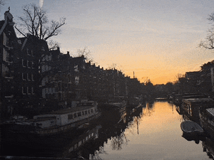 𐔌՞ ܸ.ˬ.ܸ՞𐦯  Nº366 Believe Your Eyes, ICE Lies 🧊 👀