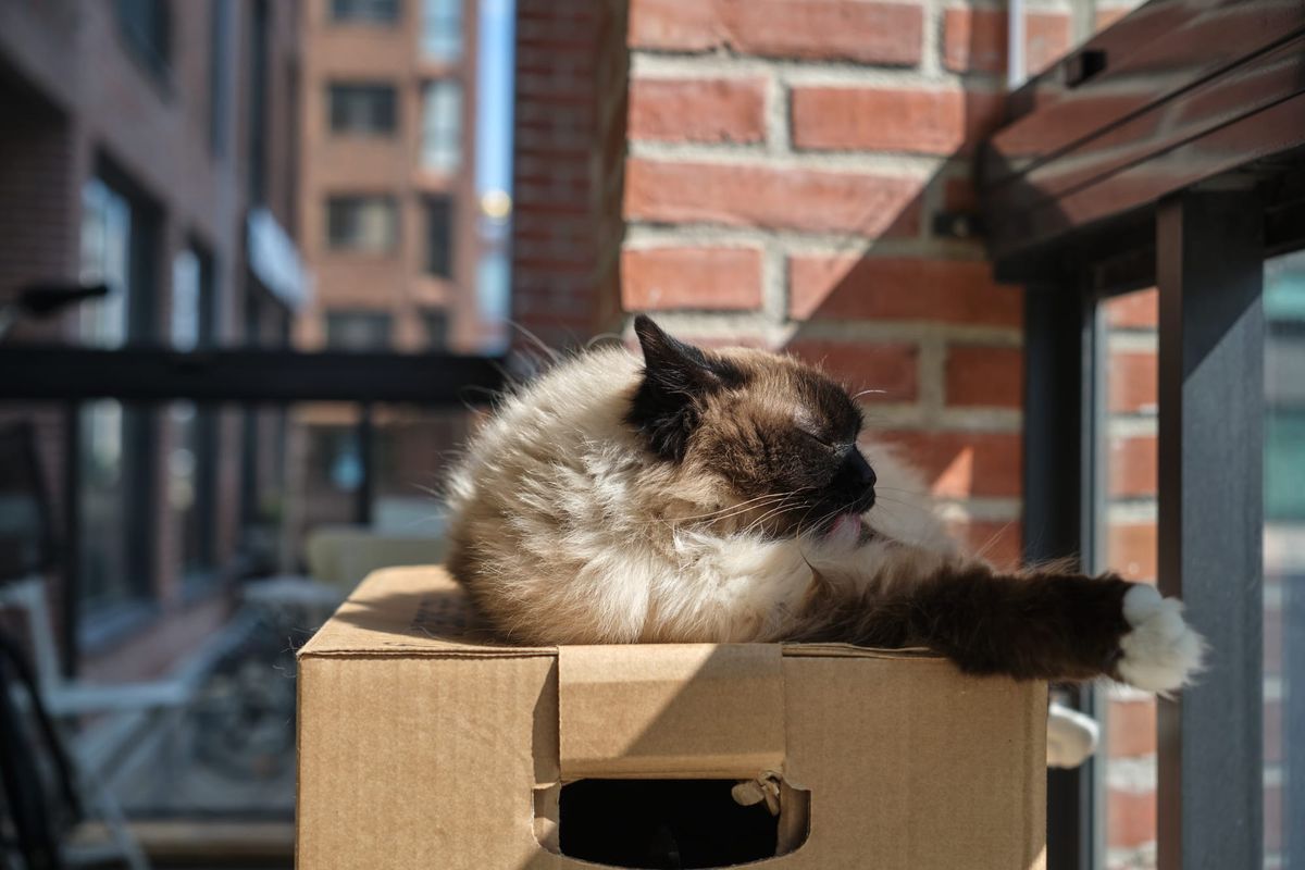 This blog is moving!