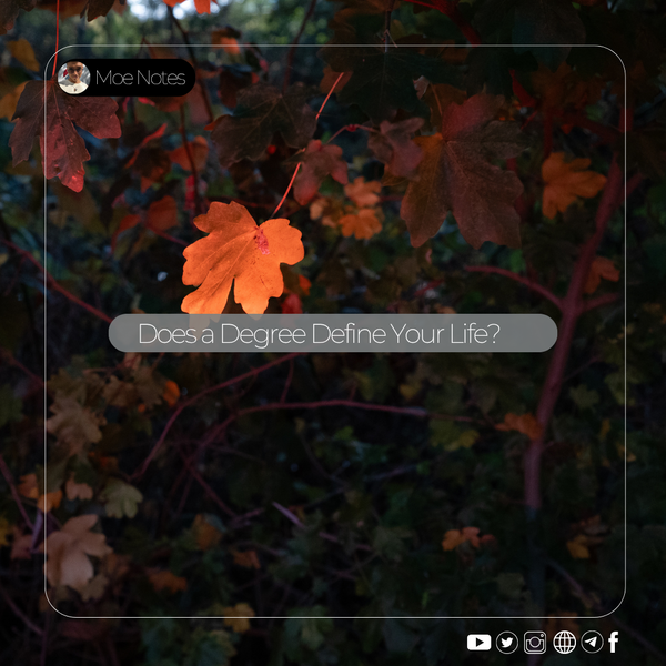 Does a Degree Define Your Life? - A Journey Between Passion and Pragmatism