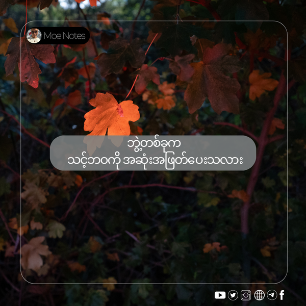 ဘွဲ့တစ်ခုက သင့်ဘဝကို အဆုံးအဖြတ်ပေးသလား - ဝါသနာနှင့် လက်တွေ့ကြားက ခရီး