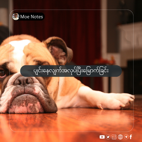 ပျင်းနေလျက်အလုပ်ပြီးမြောက်ခြင်း