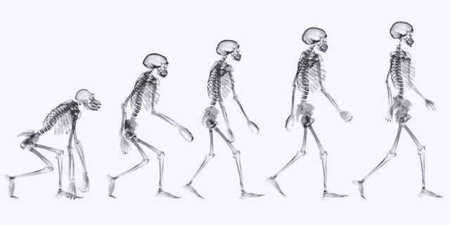The Evolution of ACP and Aalam: A Structural Reconstruction