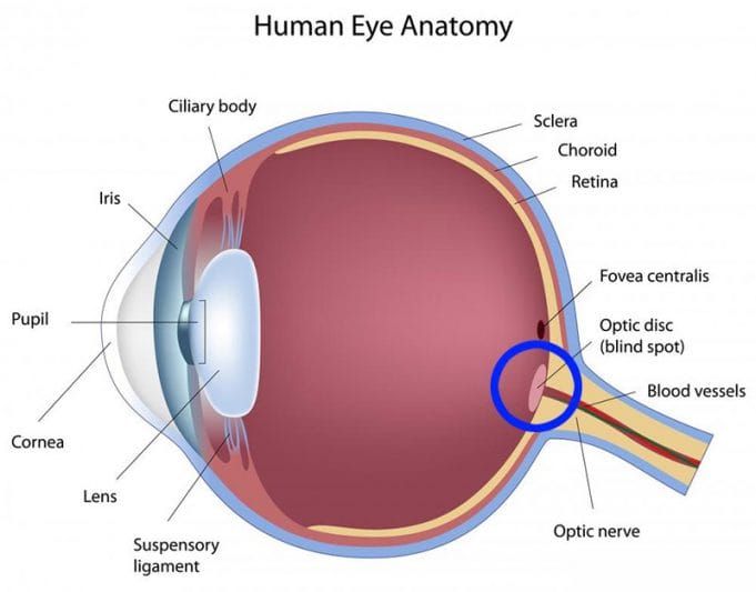 LLM Usage: 4 When “Human Oversight” Becomes a Fiction